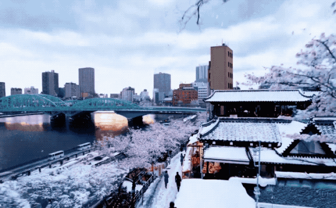 顛覆！OpenAI發(fā)布文生視頻模型Sora